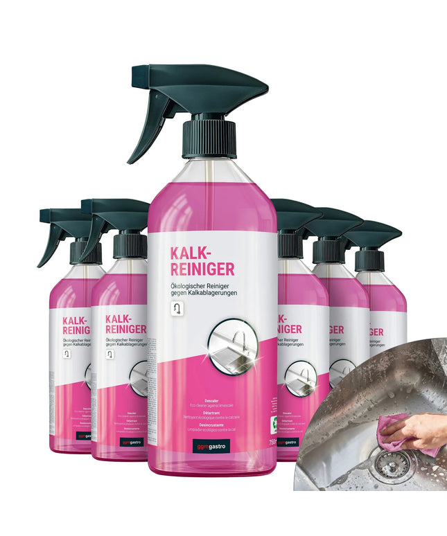 GGM Gastro (6 pcs) Dishwasher Descaler - 750ml - Eco