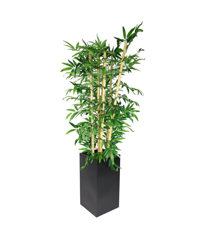 GGM Gastro Artificial "Bamboo" Tree - 210cm - Potted