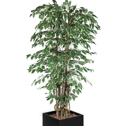 GGM Gastro Artificial "Ficus Starlight" Tree - 210cm - Potted