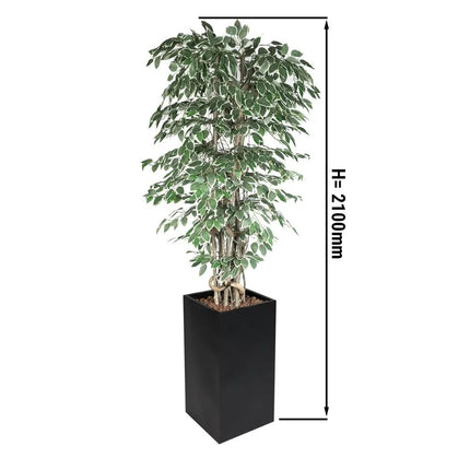 GGM Gastro Artificial "Ficus Starlight" Tree - 210cm - Potted