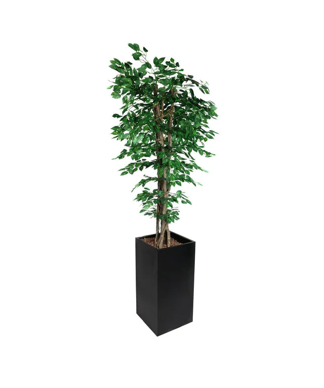 GGM Gastro Artificial "Ficus" Tree - 210cm - Potted