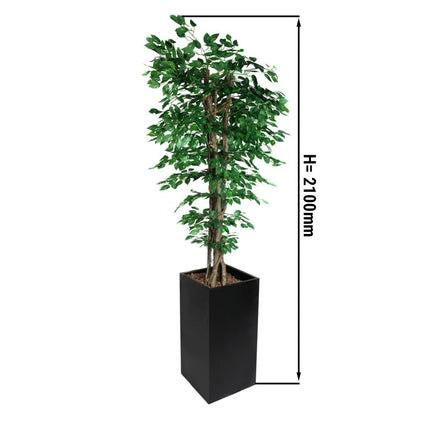 GGM Gastro Artificial "Ficus" Tree - 210cm - Potted