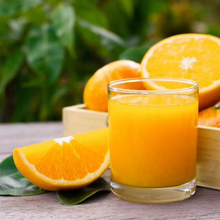 GGM Gastro Commercial Electric Orange Juicer - Orange - Push & Juice button - Automatic fruit feed