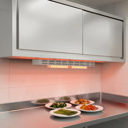 GGM Gastro Commercial Heated Gantry with 2 Ceramic Heaters - 726x120mm - 700W - Single Tier