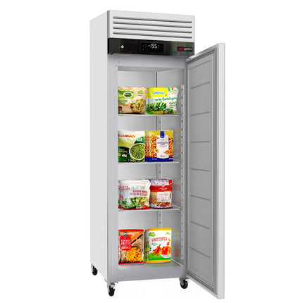 GGM Gastro Commercial Upright Freezer Stainless steel ECO - 600L - with 1 door & Stainless steel rails & support grids - On castors