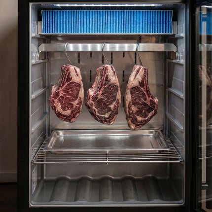 GGM Gastro Dry Ageing Meat maturing cabinet - 595x570mm - with 1 glass door - Black