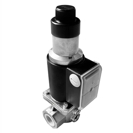 GGM Gastro Gas solenoid valve - 3/4 - VML