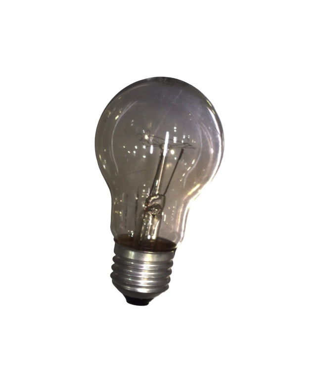 GGM Gastro Light Bulb - suitable for WHVJ3 & WHVJ3N