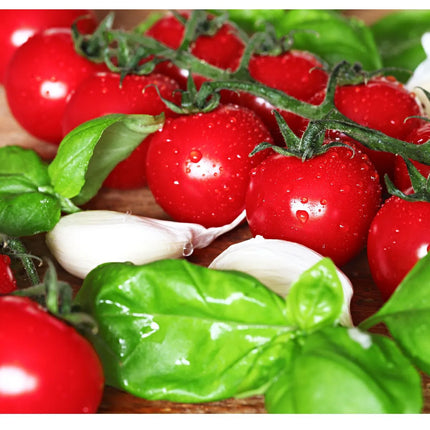 GGM Gastro Manual Tomato Slicer - Number of Segments: 6 - Stainless Steel