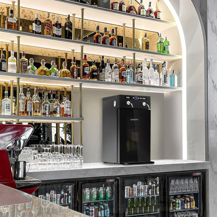 GGM Gastro Refrigerated Wine Dispenser - Single Zone - 2 Bottle