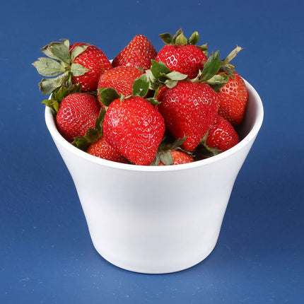 Hũ Đựng Thực Phẩm Tròn Elite Global Solutions MC32-W Melamine Trắng 0.95 l 14.6 cm