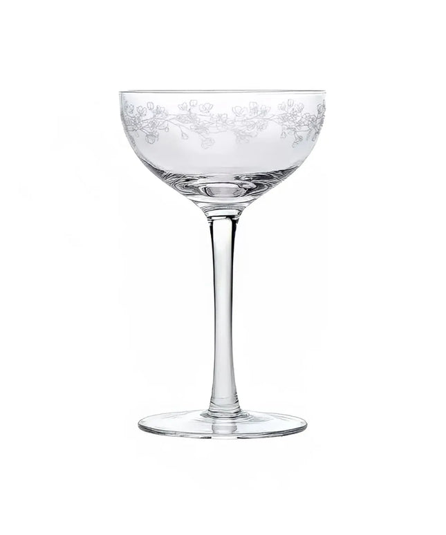 Ly Cocktail Coupe Arcoroc CA504 177 ml Mix