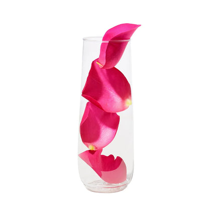 Ly Sâm Panh Không Chân Nhựa Dùng Một Lần Tossware TWFL0130TCA POP 266 ml Trong Suốt