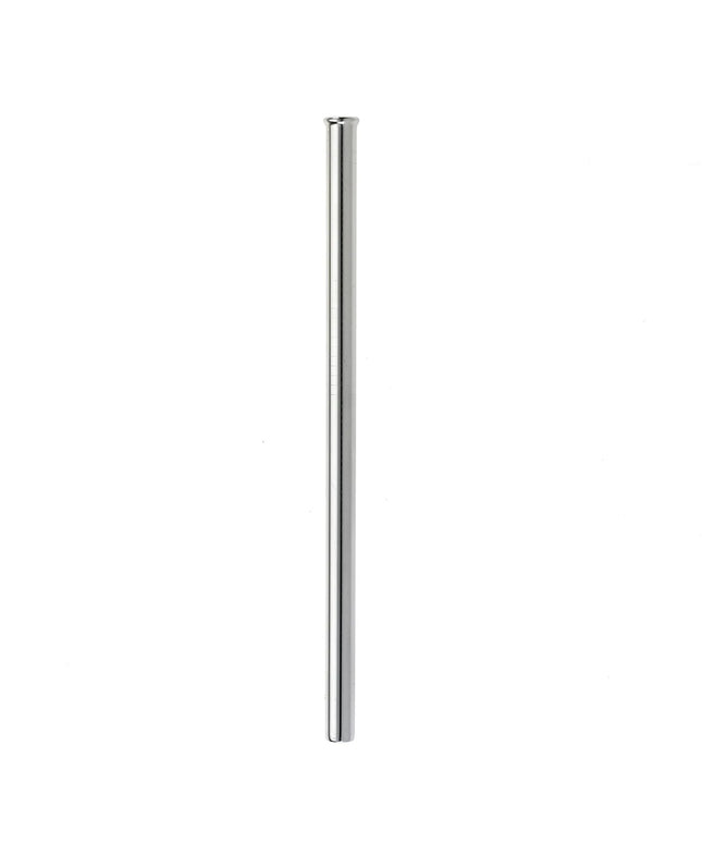 Ống Hút Kim Loại Thẳng Barfly M37116 16.5 cm - Inox, Bề Mặt Gương