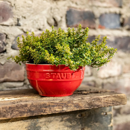 STAUB| Ceramic Bowl – Cherry Red - Ø 140 mm - Antique Glaze - For Dressings & Serving