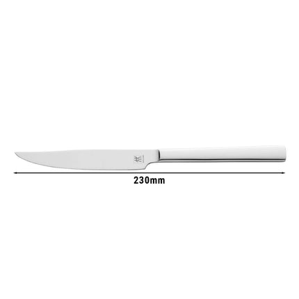 ZWILLING | Knife – One-Piece Construction - Pointed Tip - Polished Finish - 230 mm - Cult