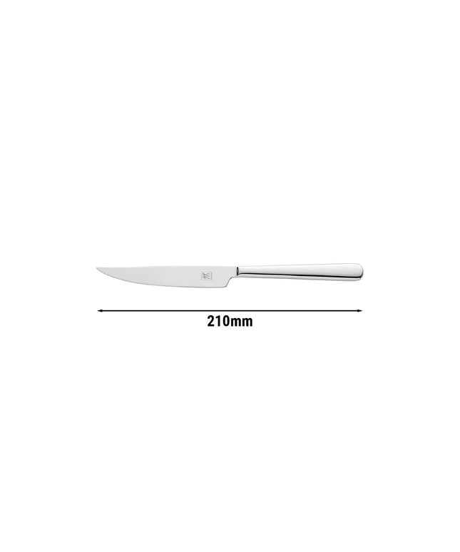 ZWILLING | Melody Steak Knife – 210 mm blade - 18/10 stainless steel - polished