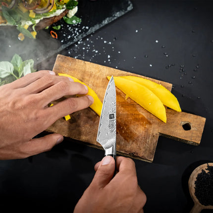 ZWILLING | Tanrei Paring & Garnishing Knife 100 mm – Plain Edge - Damascus 101-Layer - Brown Micarta Handle