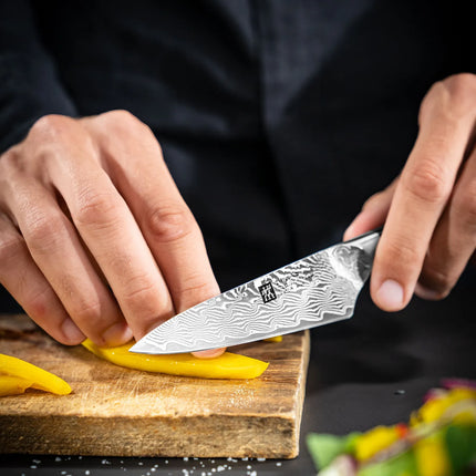 ZWILLING | Tanrei Paring & Garnishing Knife 100 mm – Plain Edge - Damascus 101-Layer - Brown Micarta Handle
